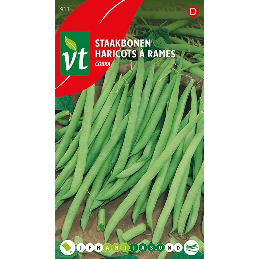 Arborix Stangenbohne Cobra Saatgut für lange Hülsen, 40 g - Bild 2