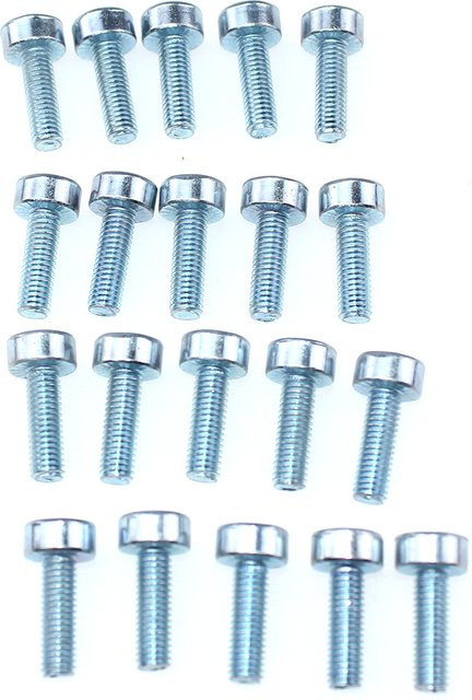 20 Stück T27 M5 x 20 Spline-Schrauben in Silber für Makita, Stihl, Oleo-Mac und Dolmar Kettensägen, Freischneider und Gebläse, verzinkt - Bild 1