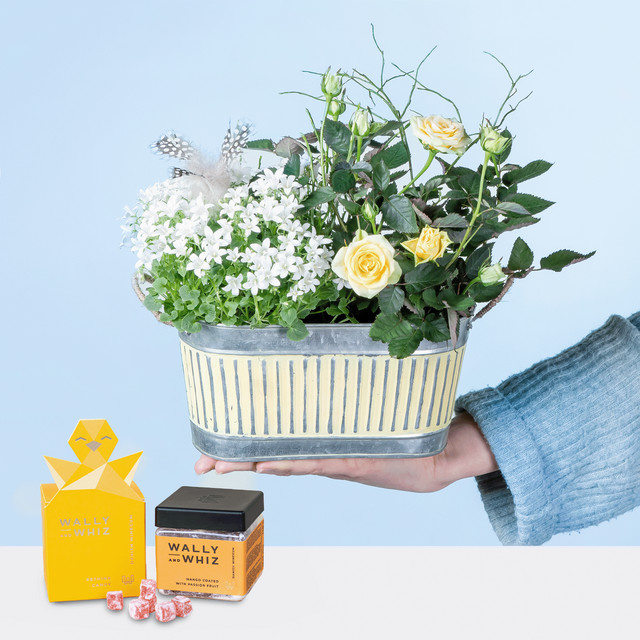 BLUME2000 Osterküken Fruchtgummi Mango 140g - Bild 1