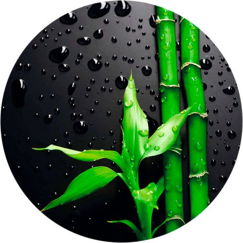 K&L Wall Art Vliestapete Runde Vliestapete Bambus Wellness Feng Shui, mehrfarbig, matt, B: 236 cm, H: 236 cm - Bild 1