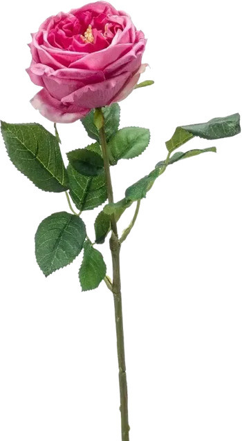 Künstliche Rose Charlotte von Aplanta, Höhe: 58 cm - Bild 1