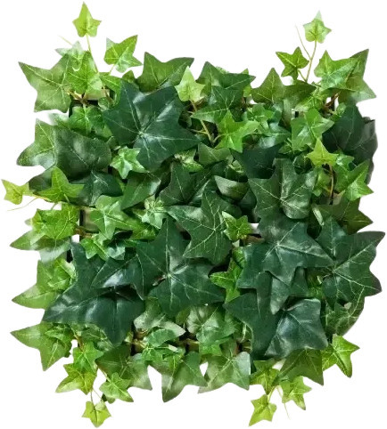 Künstliche Efeu Matte Neville von Aplanta, Breite: 30 cm, Tiefe: 30 cm - Bild 1