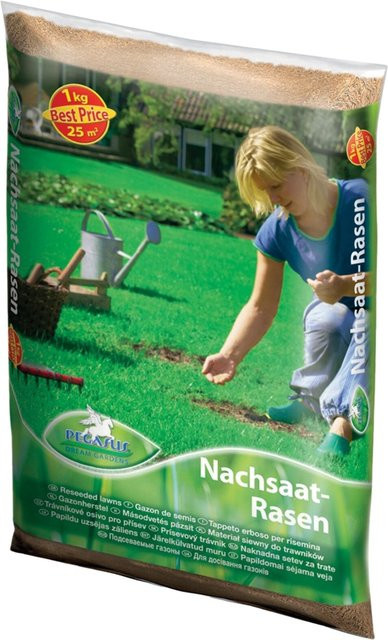 Pegasus Rasen-Nachsaat für grünen Rasen, 1 kg - Bild 1