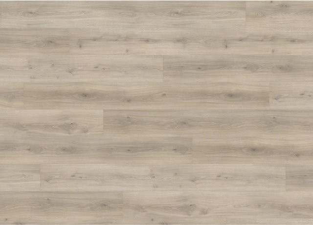 Haro Living by XL Laminat Eiche Laval Grau 8 mm in Holzoptik - Bild 1