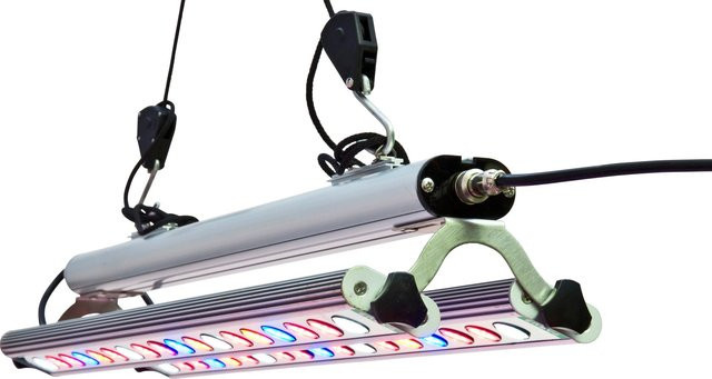 Parus by Venso GrowLight Quattro LED-Pflanzenlampe 60W Vollspektrum für Anzucht und Überwinterung - Bild 1
