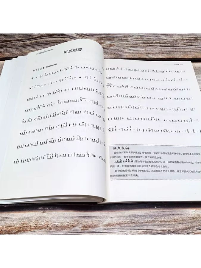 Winshare Buch Auswahl berühmter Lieder aus der Nationalmusik der Höhle - Bild 1