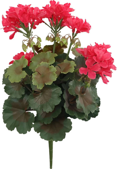 Künstliche Geranie Perla von Aplanta in Pink, Höhe: 40 cm - Bild 1