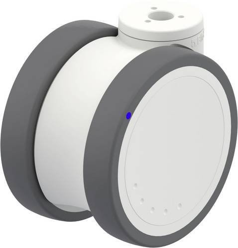 Blickle LKDX-PATH 100XK Kunststoff-Doppelrolle in Grau und Weiß mit 100mm Durchmesser und 100kg Tragfähigkeit - Bild 1