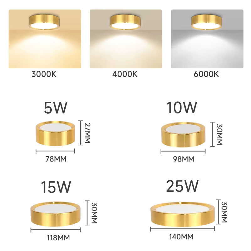 CHUANGYANG LED Deckenlampe Dimmbares Downlight Rund Oberfläche Montiert für Badezimmer und Wohnzimmer in Schwarz oder Weiß - Bild 3