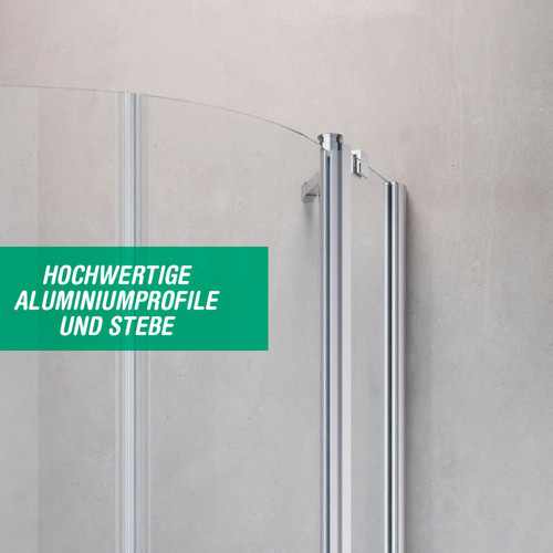 GEO Runddusche in Edelsilber mit 6 mm Glasstärke, Höhe: 195 cm, Breite: 100 cm, Tiefe: 30 cm - Bild 1