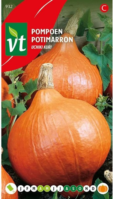 Arborix Kürbis Uchiki Kuri Gemüse-Saatgut mit orangefarbenen Früchten, 3 g - Bild 1