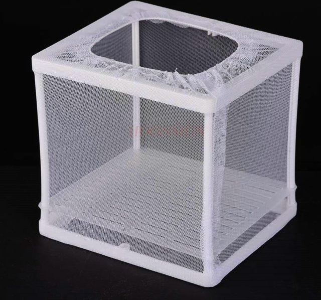 Binchi Outdoor Product Insekten Beobachtungsbox, ab 3 Jahre - Bild 1