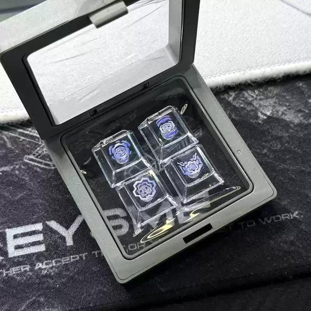 OYOLEE Valorant Skills Tastenkappen für mechanische Tastaturen, Transparent, Cherry Profil, Anime Design für PC Gaming - Bild 1