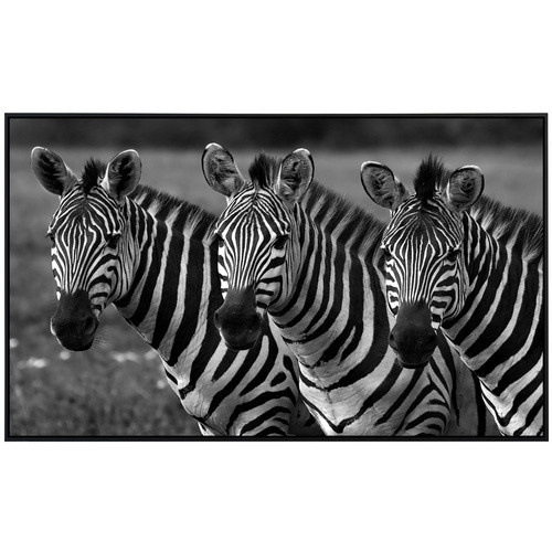 papermoon Infrarotheizung EcoHeat Zebras Schwarz Weiss mit Matt-Effekt und App-Steuerung - Bild 2