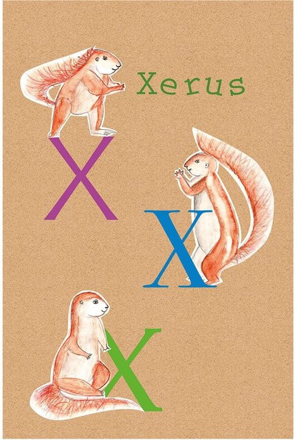 Komar Wandbild ABC Animal Poster auf Fotopapier, Multicolor, Breite: 30 cm, Höhe: 40 cm - Bild 1