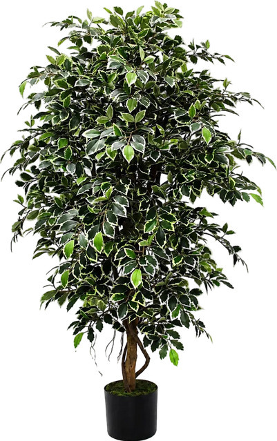 Künstlicher Baum Ficus Retusa von Aplanta, Höhe: 180 cm - Bild 1