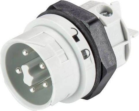 Wieland Electric 46.052.5053.0 Geräteanschluss in Grau und Weiß - Bild 1