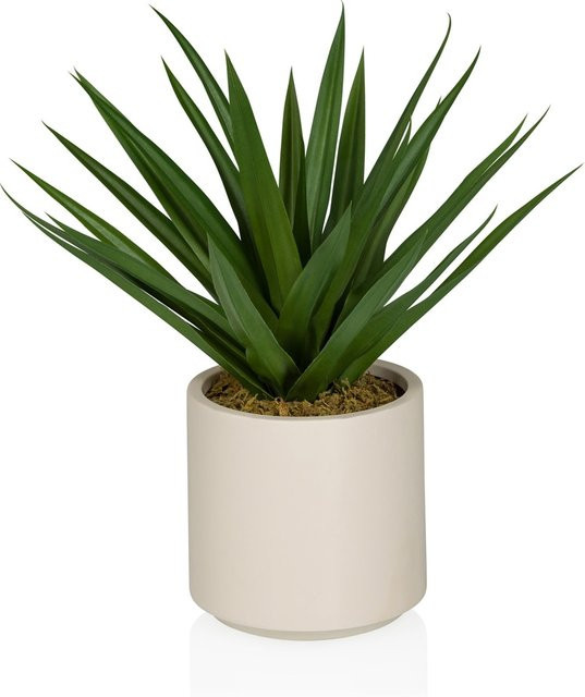 hjh OFFICE Kunstpflanze Agave als Sukkulente in Grün für den Tisch aus Kunststoff und Stoff - Bild 1