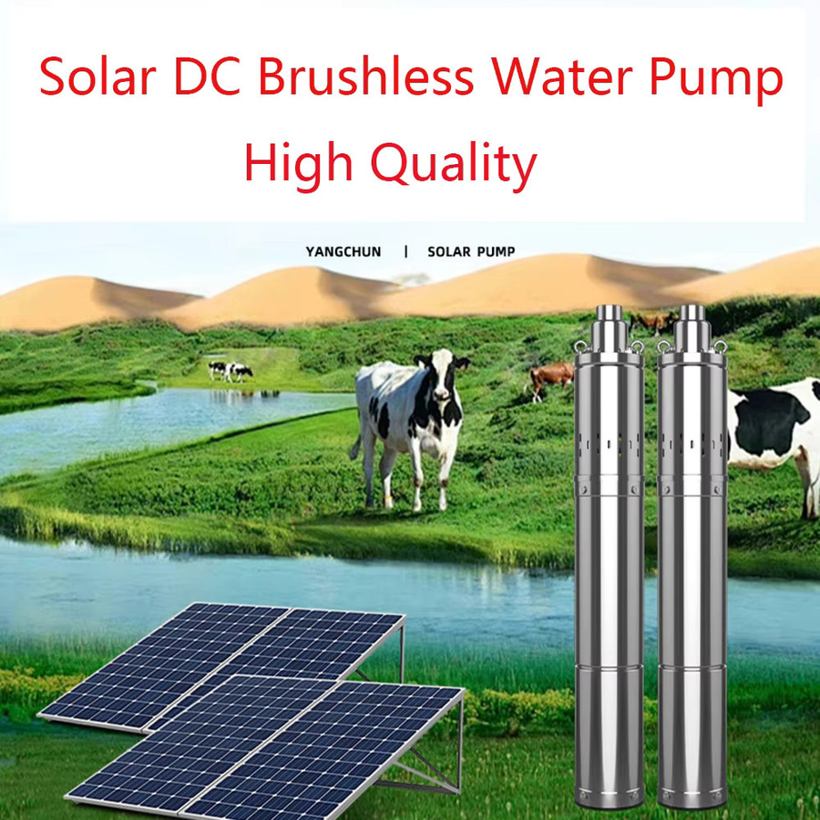 Solar-DC-Wasserpumpe mit MPPT-Funktion, 750 W, 48 V, 1 PS, bürstenlos, 2 Tonnen pro Stunde, silber - Bild 3