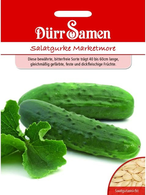 Dürr Salatgurke Marketmore Saatgut - Bild 1