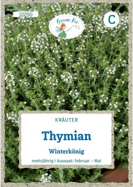 Grüne Fee Thymian Winterkönig Saatgut - Bild 1