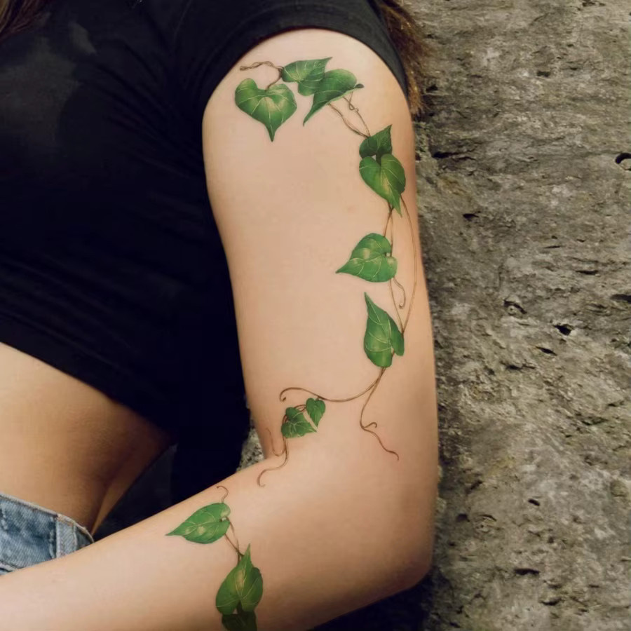 STARTTOOS Temporäres Tattoo, Grünes Blatt- und Weinrebenmuster, Damen, 2 Stück - Bild 4