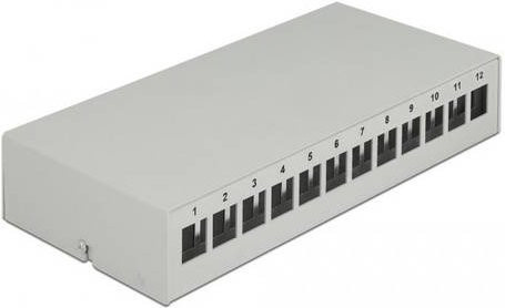 Delock Leeres Keystone-Patchpanel Grau mit 12 Ports für Wandmontage und DIN-Schienenmontage (43414) - Bild 1