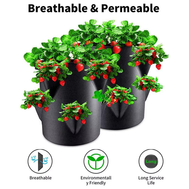 Verdickter Erdbeer-Pflanzbeutel aus Vliesstoff in Schwarz mit 6-seitiger Tasche für den Garten, B/T/H: 35,0 x 30,0 x 30,0 cm - Bild 4