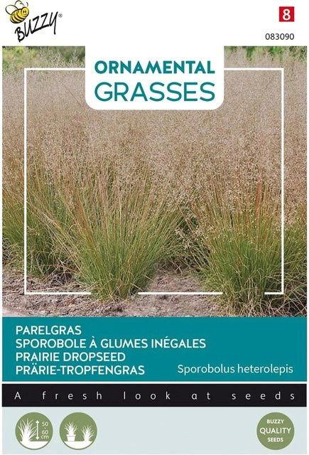 Arborix Prärie-Tropfengras Buzzy Ornamental Grasses Samen für den Garten, 0,05 g - Bild 1