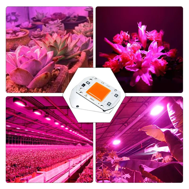 Hydroponice COB LED Pflanzenlampe mit Vollspektrum für Zimmerpflanzen, Sämlinge und Blumen, Weiß - Bild 3