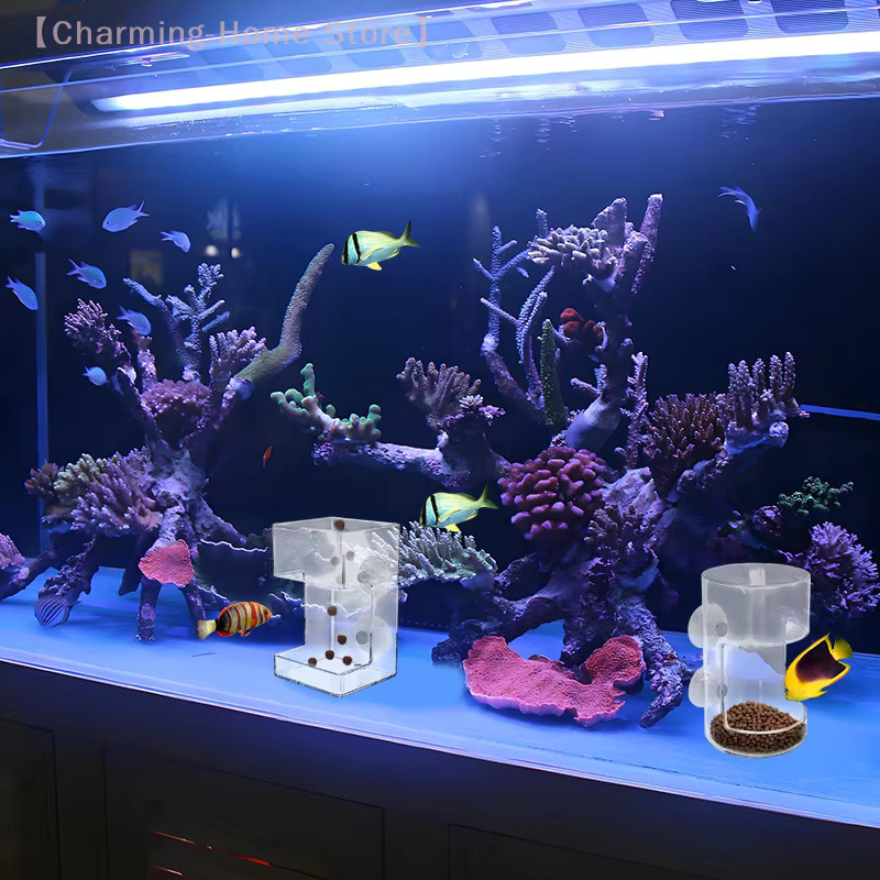 Hoeaden Futterspender für Aquarienfische aus Acryl mit Schalenablage und Saugnapf, transparent, Breite: 10,0 cm, Tiefe: 6,0 cm - Bild 2