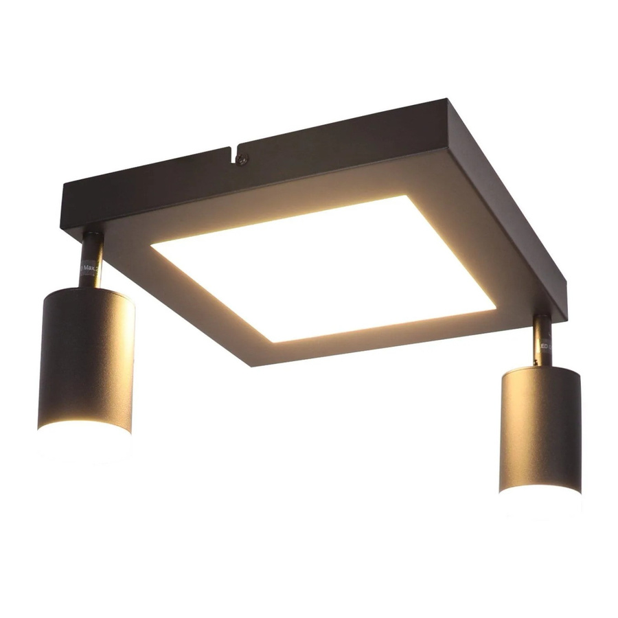NETTLIFE Deckenstrahler L10 aus Metall in Schwarz, verstellbar und modern mit GU10 Fassung - Bild 2