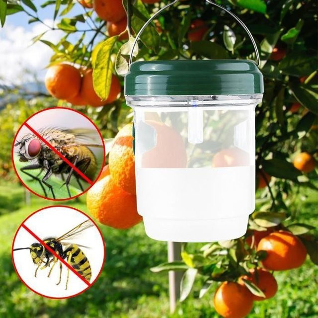 STEL ORA Solar LED Insektenfalle für den Außenbereich in Grün zur Abwehr von Wespen und Bienen - Bild 1