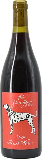 Der Glücksjäger Pinot Noir Rotwein, Pfalz, 2020, trocken, 0,75 l - Bild 1