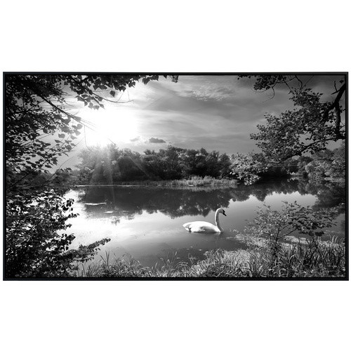 papermoon EcoHeat Infrarotheizung Landschaft mit Schwan in Bunt mit Matt-Effekt, App-Steuerung und Überhitzungsschutz - Bild 2