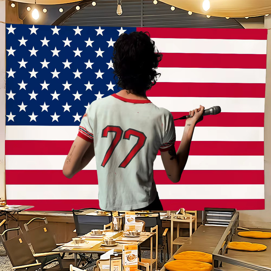 Singer Sombr Amerikanische Flagge als Wandbehang in Rosa und Rot, B/H: 60 x 40 cm - Bild 3