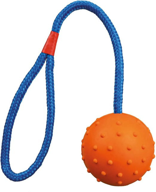 Jollypaw Ball am Seil Naturgummi ø 6 cm 30 cm - Bild 1