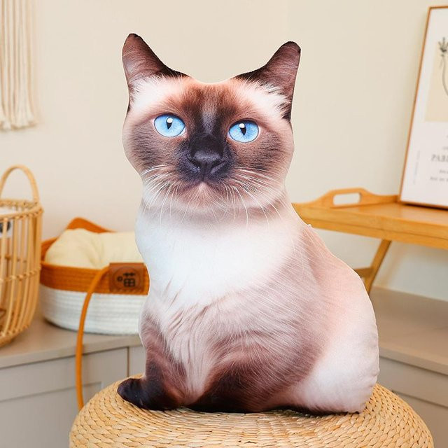Yiran toy Katze Plüschkissen, Orange, ab 14 Jahren - Bild 1