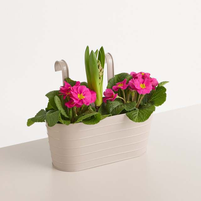 BLUME2000 Balkonkasten Rille aus Metall in Taupe, B/T/H: 30,7 x 25,0 x 13,0 cm - Bild 1