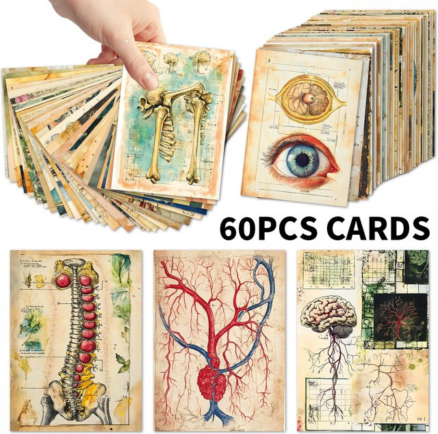 60 Stück Vintage Anatomische Journaling-Postkarten aus Papier in Mehrfarbig für Scrapbooking und Biologie-Collagen - Bild 1