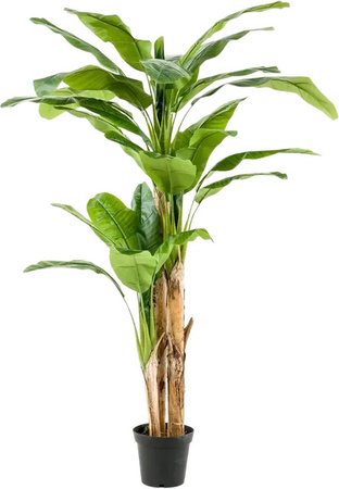 Künstlicher Bananenbaum Can von Aplanta, Höhe: 200 cm