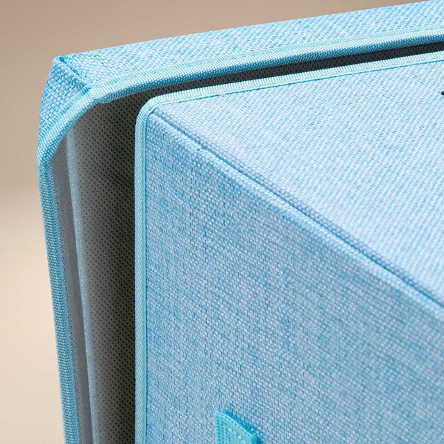 Lifeney Aufbewahrungsbox mit Deckel und Griffen, Waschbär, blau, B/T/H: 33 x 33 x 33 cm - Bild 1