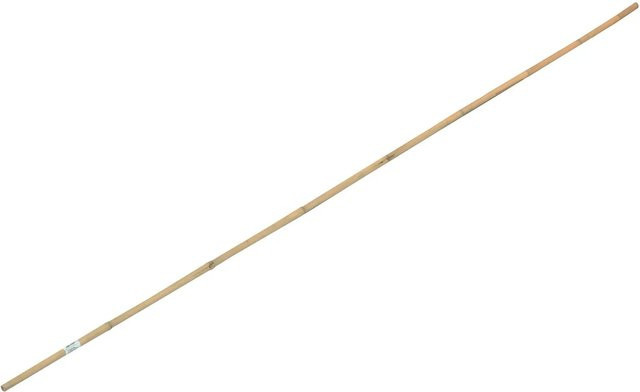 Beiger Bambusstab mit einer Länge von 210 cm und einem Durchmesser von ca. 2 cm - Bild 1