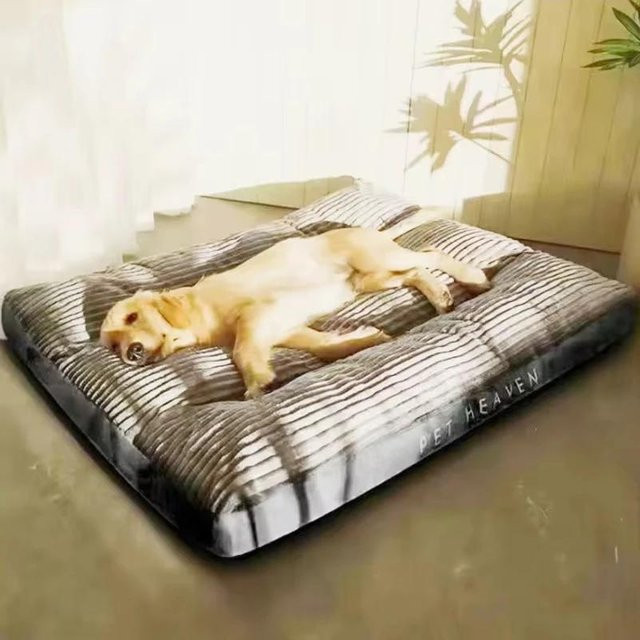 Pet Products My Hundebett aus Kord in Grau mit abnehmbarem Bezug, B/T/H: 80 x 66 x 7 cm - Bild 1