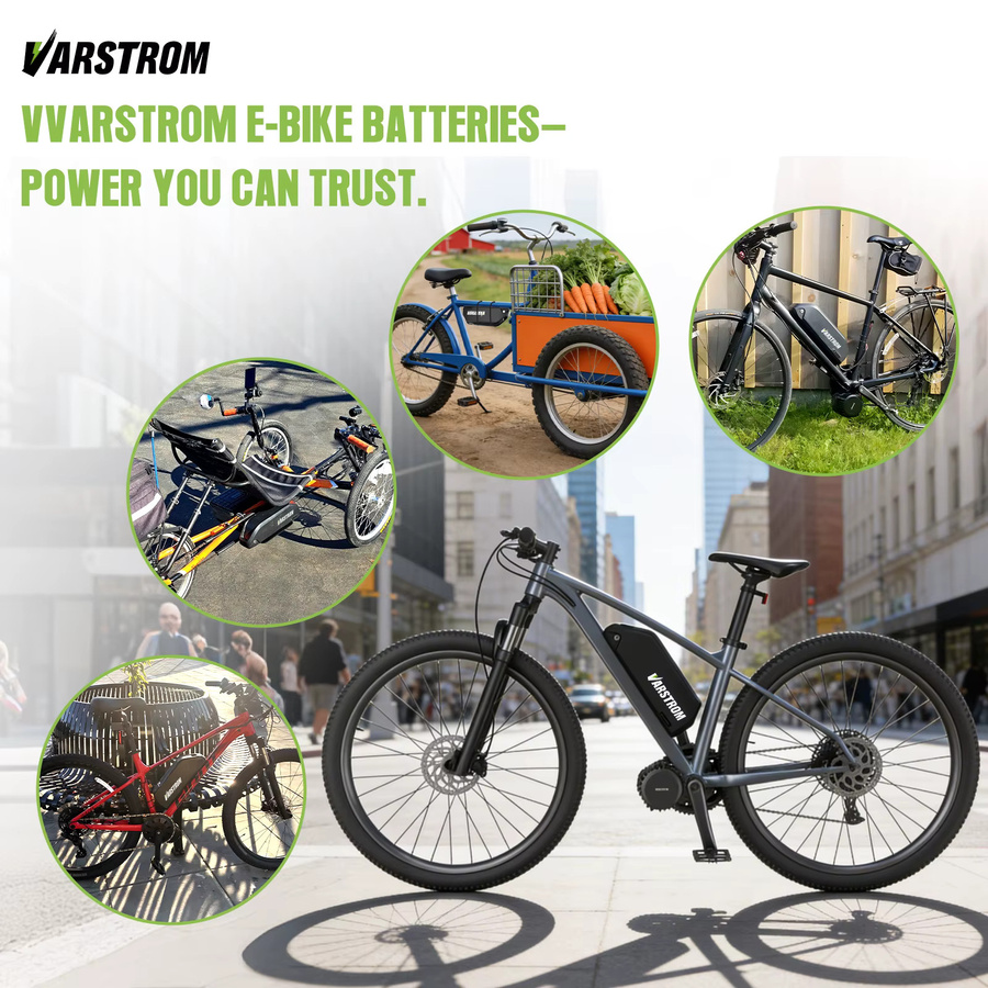 Hailong Max E-Bike-Akku Parrot Gepäckträgerakku in Schwarz für 48V 52V 36V mit verschiedenen Kapazitäten von 13Ah bis 30Ah - Bild 4