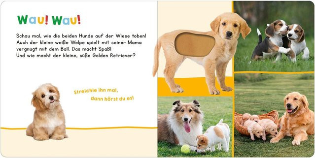 Hör mal rein, wer kann das sein? - Meine ersten Tiere, Soundbuch - Bild 1
