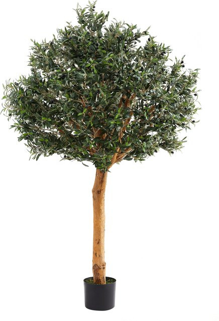 Künstlicher Olivenbaum Eleutherios von Aplanta, Höhe: 200 cm - Bild 1