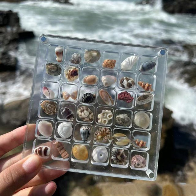 Magnetische Muschel-Displaybox aus transparentem Acryl als Bastel-Organizer und Diamant-Aufbewahrungsbox - Bild 1