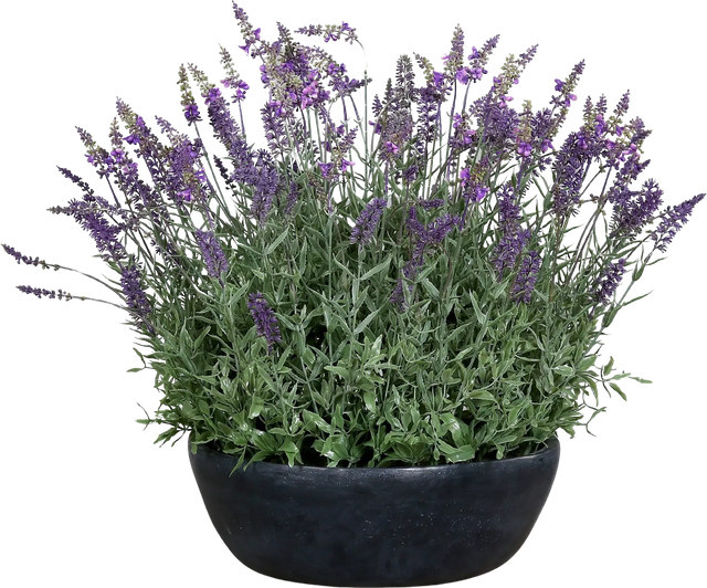 Künstlicher Lavendel Thorfinn von Aplanta in grauer Schale, Höhe: 60 cm - Bild 1