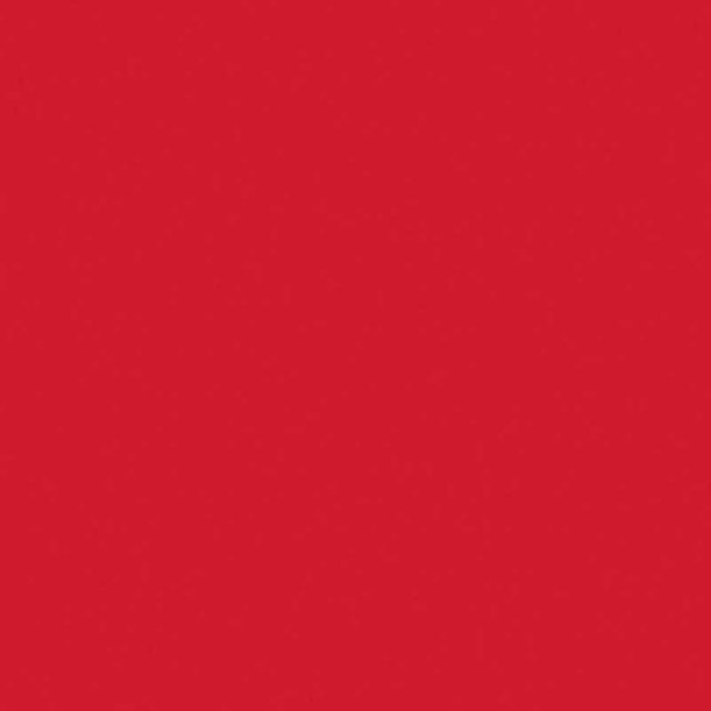 folia Fotokarton A4 Hochrot 50 Blatt 300g/m² - Bild 1